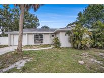 Charming single-story home featuring a well-manicured lawn and mature landscaping at 7004 Lambright Ct, Tampa, FL 33634