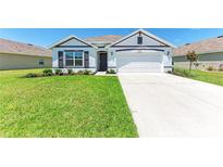 Charming single-Gathering home with a well-manicured lawn and inviting curb appeal at 10732 Chippewa Dr, Parrish, FL 34219