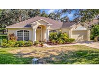 Charming one-story home featuring a well-manicured lawn and lovely landscaping at 803 Woodcarver Ln, Brandon, FL 33510