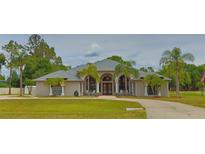Stunning single-story home with a well-manicured lawn and an elegant, arched entryway framed by columns at 12501 Palomino Ct, Tampa, FL 33626
