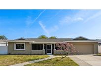 Charming single-story home with a well-maintained lawn and beautiful flowering tree at 8417 Bay Pointe Dr, Tampa, FL 33615