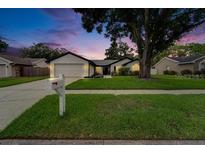 Charming single-story home featuring a lush green lawn, mature trees, and a two-car garage at 10412 Tara Dr, Riverview, FL 33578