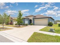 Charming single Gathering home with a well-manicured lawn and a two-car garage at 7305 Tiger Trail Ct, Sun City Center, FL 33573