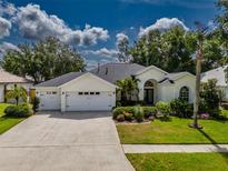 Beautiful single-story home featuring a three-car garage, lush landscaping, and a well-maintained lawn at 4612 River Overlook Dr, Valrico, FL 33596