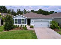 Charming single-story home with a well-manicured lawn and a two-car garage at 8214 Wheat Stone Dr, Zephyrhills, FL 33540