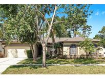 Charming single-story home with lush landscaping and a well-manicured lawn on a sunny day at 9535 Norchester Cir, Tampa, FL 33647