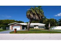 Charming single-story home with a well-manicured lawn and mature palm trees under a sunny blue sky at 101 S Maywood Ave, Clearwater, FL 33765