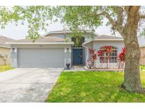Charming single-Gathering home with mature landscaping and a two-car garage on a sunny day at 34447 Blue Ash Ct, Wesley Chapel, FL 33545
