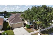 Inviting single-Gathering home with a well-manicured lawn, mature trees, and attached two-car garage at 11021 Silver Dancer Dr, Riverview, FL 33579