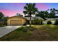 Charming single-Gathering home featuring a front yard, mature palm tree, and attached two-car garage at 11315 N Armenia Ave, Tampa, FL 33612
