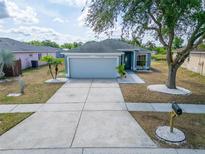 Beautiful single-story home featuring a long driveway, garage and a tree in the front yard at 12119 Buffington Ln, Riverview, FL 33579