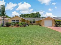 Charming single-story home featuring a well-maintained lawn and a two-car garage, enhancing curb appeal at 12407 Partridge Hill Row, Hudson, FL 34667
