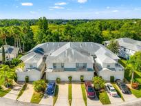 Stunning aerial view of townhomes with garages, palm trees, and a beautiful green landscape at 1936 Heron Cove Dr # 104, Lutz, FL 33549