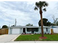 Charming single-story home with a well-manicured lawn and a lovely palm tree in the front yard at 9005 Rainbow Ln, Port Richey, FL 34668