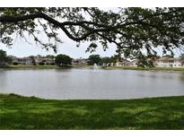 Scenic lake view featuring a fountain, lush greenery, and well-maintained residential buildings at 3861 Sailmaker Ln # 3861, Holiday, FL 34691