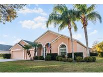 Charming single-story home featuring a well-manicured lawn and palm trees at 7533 Dunbridge Dr, Odessa, FL 33556