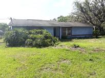 Exterior of a one story home with grass yard and overgrown landscaping at 9722 Kenton Rd, Wesley Chapel, FL 33545