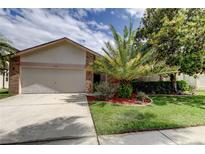 Charming single-Gathering home with brick accents, well-maintained lawn, and mature landscaping at 11325 Glenmont Dr, Tampa, FL 33635