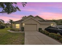 Charming single-story home with well-manicured lawn and a two-car garage in a residential neighborhood at 2436 Nantucket Harbor Loop # 104, Sun City Center, FL 33573
