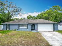 Charming single-story home with a blue exterior, attached garage, and front yard at 4435 Lamson Ave, Spring Hill, FL 34608