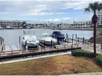 View of boat dock on the water with palm tree in the background at 120 1St E St # 104, St Petersburg, FL 33715