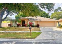 Charming single-story home featuring a well-maintained lawn and attached two-car garage at 11416 Wellman Dr, Riverview, FL 33578