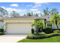 Charming single-story home with a two-car garage and well-maintained landscaping at 19025 Callaway Ct, Tampa, FL 33647