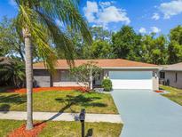 Charming single-story home featuring well-maintained landscaping and a two-car garage on a sunny day at 3249 Parkway Pl, Palm Harbor, FL 34684