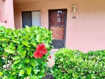 Charming condo entrance framed by lush greenery and vibrant hibiscus, creating a welcoming curb appeal at 141 Lakeside Dr, Oldsmar, FL 34677