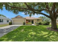 Charming single-story home with a well-manicured lawn and mature trees providing shade at 3333 Michener Pl, Plant City, FL 33566