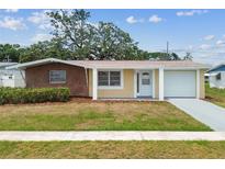 Charming single-story home with a lush front lawn, inviting entryway, and attached garage at 5033 Tammy Ln, Holiday, FL 34690