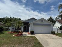 Charming single-story home featuring a two-car garage, well-maintained lawn, and tropical landscaping at 11619 Fox Creek Dr, Tampa, FL 33635