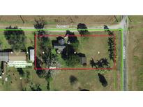 Aerial view of property with mature trees, surrounded by Acreage Lane and Wichers Road at 11951 Wichers Ln, San Antonio, FL 33576