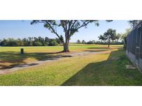 Scenic view of the lush green golf course and mature trees on a sunny day at 2017 Skimmer W Ct # 413, Clearwater, FL 33762