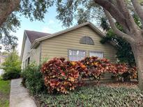 Charming single-story home with olive siding, well-kept landscaping, and mature trees at 2390 Bentley Dr, Palm Harbor, FL 34684