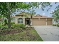Charming single-story home featuring a three-car garage and tropical landscaping at 5317 Pagnotta Pl, Lutz, FL 33558