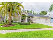 Charming single-story home with a well-manicured lawn, mature landscaping, and an attached three-car garage at 10002 Colonnade Dr, Tampa, FL 33647