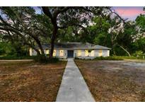 Charming single-story home with mature landscaping, featuring a painted brick facade and inviting walkway to the front door at 103 Hickory Creek Blvd, Brandon, FL 33511