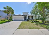 Beautiful single-story home featuring a well-manicured lawn, inviting entrance, and attached two-car garage at 11408 Coventry Grove Cir, Lithia, FL 33547
