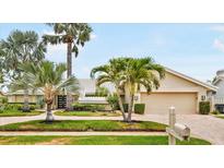 Charming front exterior with mature palms, paver driveway, lush lawn and a welcoming double door entry at 4138 Saltwater Blvd, Tampa, FL 33615