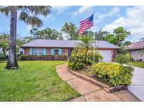 Charming brick home with a well-manicured lawn and an American flag waving proudly at 3224 Hilary Cir, Palm Harbor, FL 34684