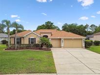 Charming single-story home featuring a well-maintained lawn, two-car garage, and beautiful landscaping at 19106 Beckett Dr, Odessa, FL 33556
