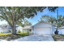 Charming one-story home with a well-manicured lawn and mature tree at 2707 Lakeville Dr, Tampa, FL 33618