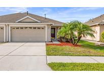 Charming home featuring a two-car garage and front yard with lush landscaping and palm trees at 30901 Prout Ct, Wesley Chapel, FL 33543