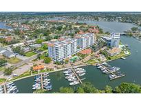 Aerial view of waterfront condos with boat docks, lush landscaping, and community pool at 1325 Snell Isle Ne Blvd # 810, St Petersburg, FL 33704