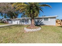 Charming single-story home with a well-maintained lawn and a mature palm tree in the front yard at 2285 Victory Ave, Largo, FL 33770
