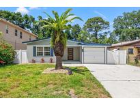 Charming single-story home with a well-manicured lawn, beautiful palm tree, and inviting curb appeal at 3317 W Iowa Ave, Tampa, FL 33611