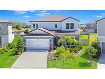 Two story home with beautiful lawn, landscaping, and two car garage in a lakeside community at 12902 Brookside Moss Dr, Riverview, FL 33579