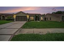 Charming single-story home with well-maintained lawn, a two-car garage, and lovely landscaping at 13819 Stoneridge Dr, Hudson, FL 34669