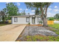 Inviting single-story home featuring a well-manicured lawn and a neutral-colored exterior at 1801 E Navajo Ave, Tampa, FL 33612